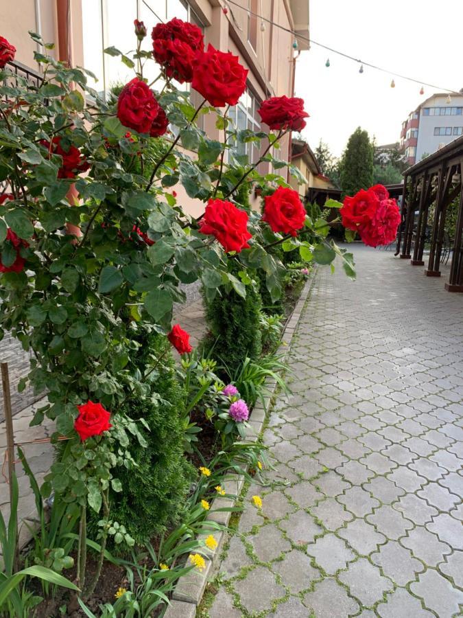 Pensiunea Passion Bucharest Luaran gambar